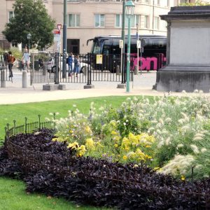 Zaun um ein Blumenbeet im Stadtpark, welches Hunde und Personen aus den Beeten fernhalten soll