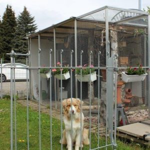 Hunde-Steckzaun mit Tor im Garten feuerverzinkt