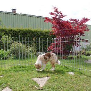 Hunde-Steckzaun im Garten feuerverzinkt