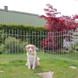 Steckzaun für einen Hund im Garten feuerverzinkt