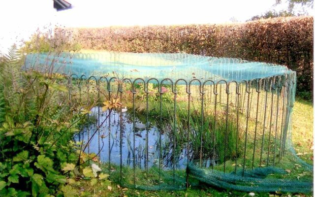 Ein Zaun mit Netz als Schutz vor dem Fischreiher?