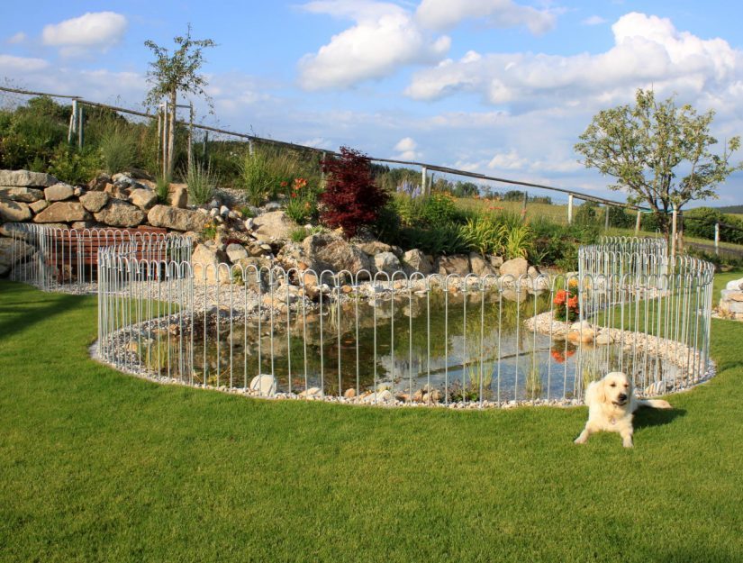 Grâce à la clôture d'étang galvanisée, le chien ne risque pas de se retrouver dans l'eau.