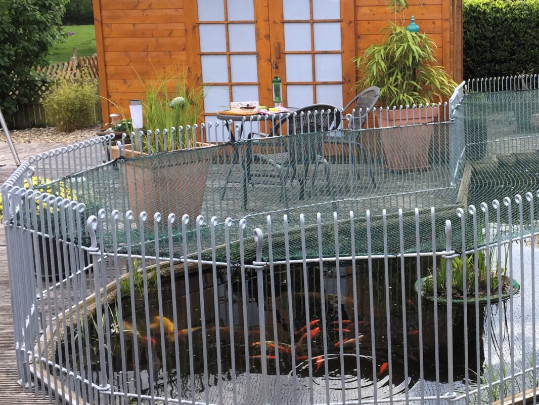 Fischreiher-Schutz-Zaun engmaschig 80 cm hoch verzinkt