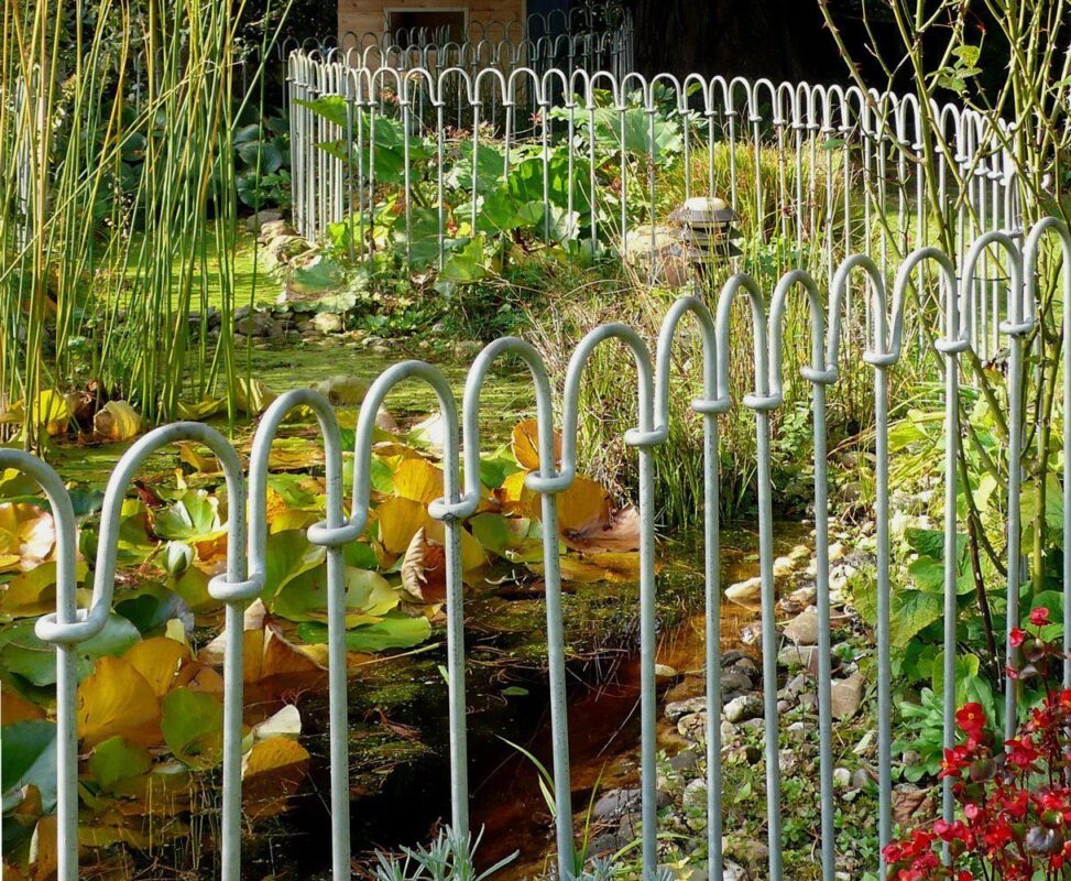 Clôture galvanisée autour d'un étang de jardin avec nénuphars
