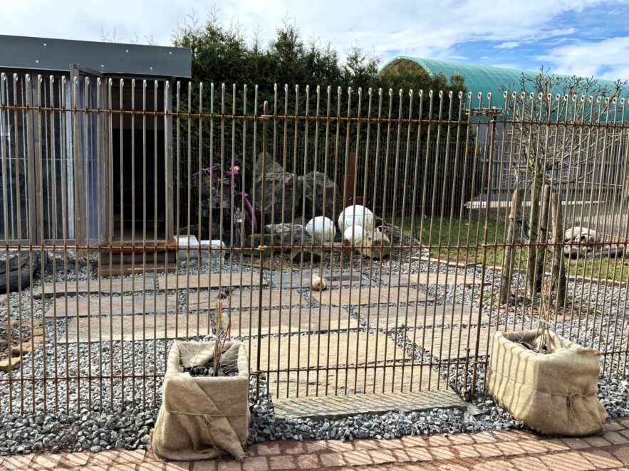 J'ai planté des renouées grimpantes dans les pots à droite et à gauche de l'entrée, elles sont destinées à recouvrir la clôture dans sa partie supérieure, elles sont mellifères, résistantes au froid, non toxiques pour les chiens et fleurissent en blanc.