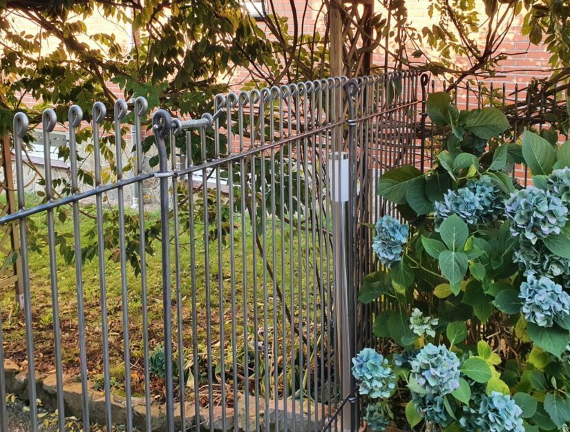Gartentür mit engen Maschen aus blankem Stahl (darf rosten) neben türkisen Hortensien.