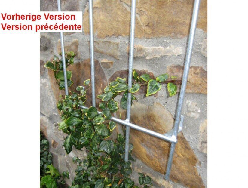 Unsere Wand-Rankgitter sind sehr stabil und können Jahrzehnte schwere Pflanzen an Ihrer Fassade halten.