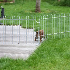 Kleiner Hund hinter dem verzinkten Hunde-Gitter
