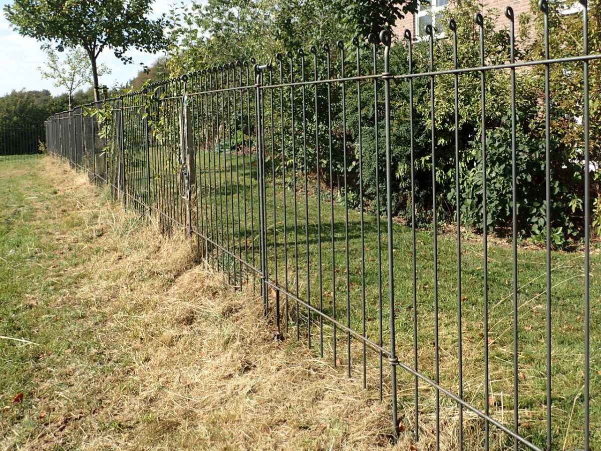 Hundeauslauf auf einer Wiese Hundegehege melabel® Steckzäune