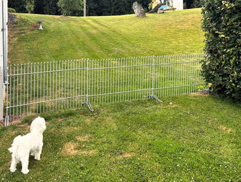 engmaschig-80 gegalvaniseerd – het hek kan worden verschoven om het gras te maaien.