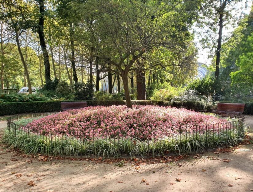 Stadshek om de bloemen in een openbaar stadspark in Brussel te beschermen.