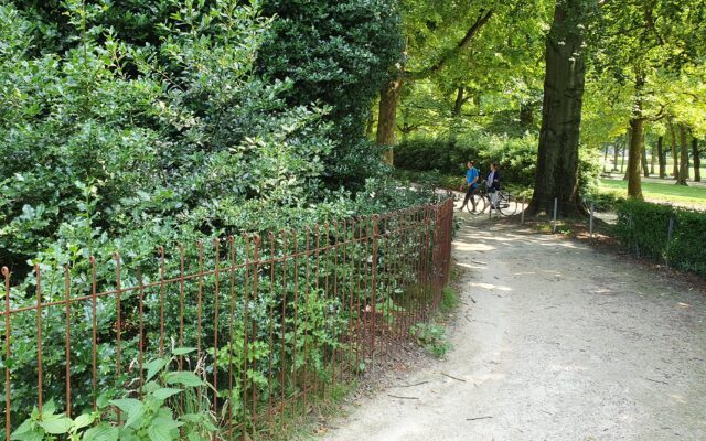 Zaun aus Metall im Stadtpark