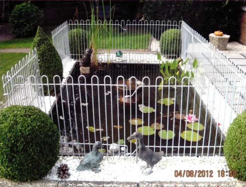 Gegalvaniseerde omheining rond een waterbassin vanwege de visetende dieren.
