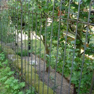 Abtrennung im Garten durch einen Zaun aus geschweißten Eisenstäben